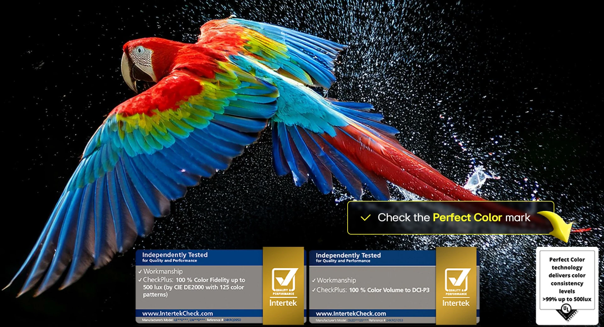 oled-b5-2025-05-feature-perfect-color-d